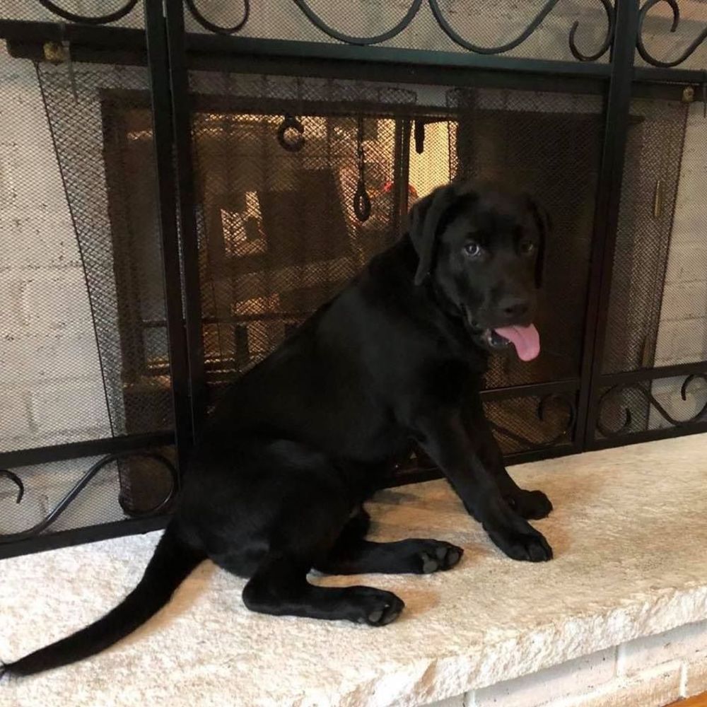 Meet your Posher, Beth